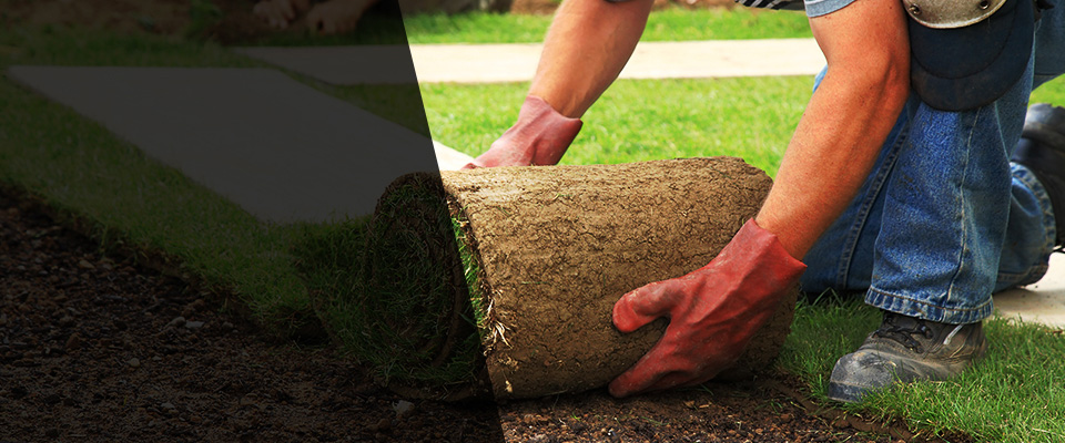 Tahoe City Landscapers